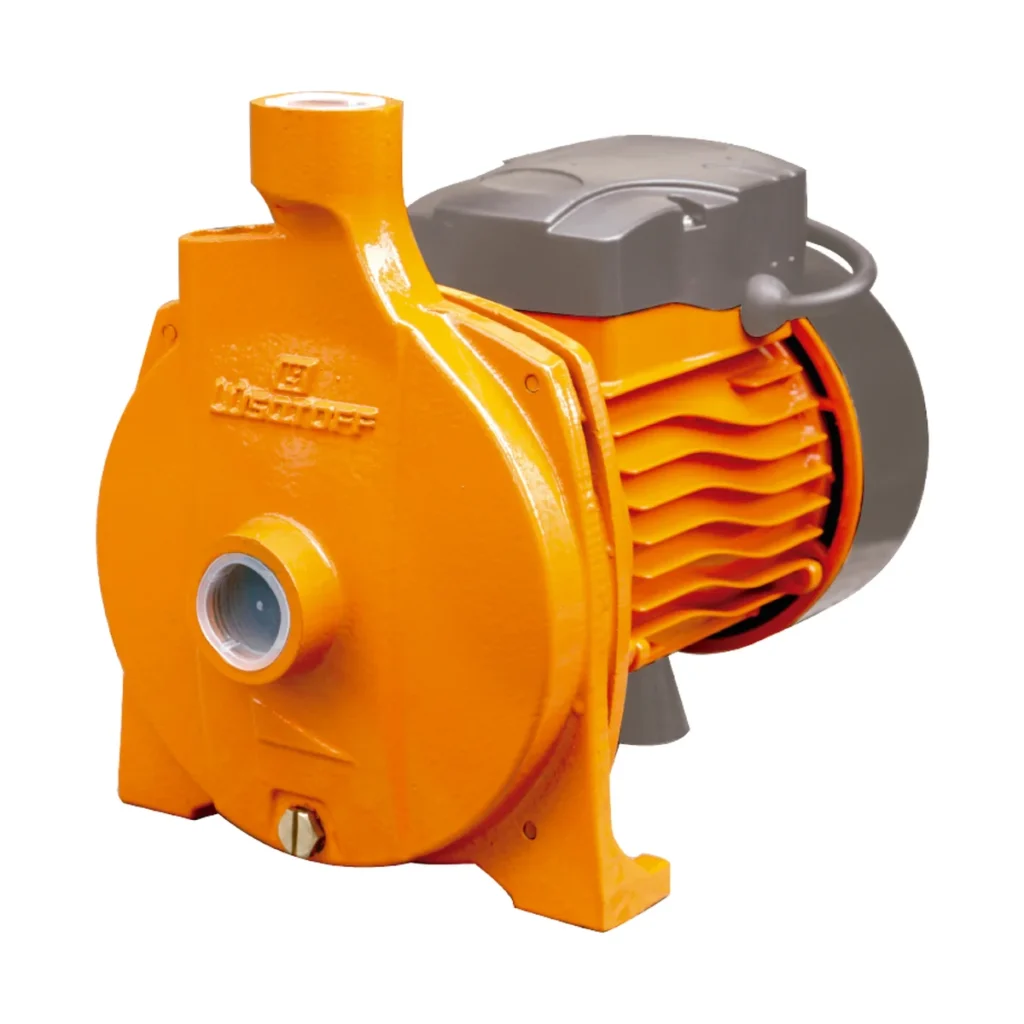 ELECTROBOMBA CENTRIFUGA  3/4 HP LUSQTOFF CPM146 83 L/M